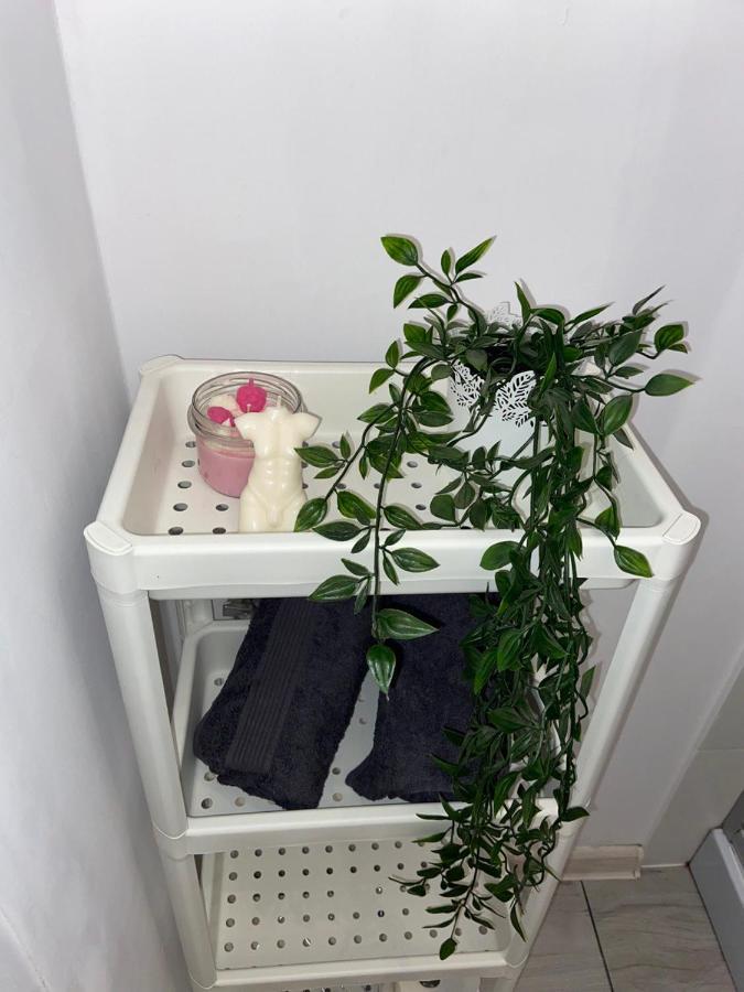 Apartament Grunwaldzka Bydgoszcz Esterno foto